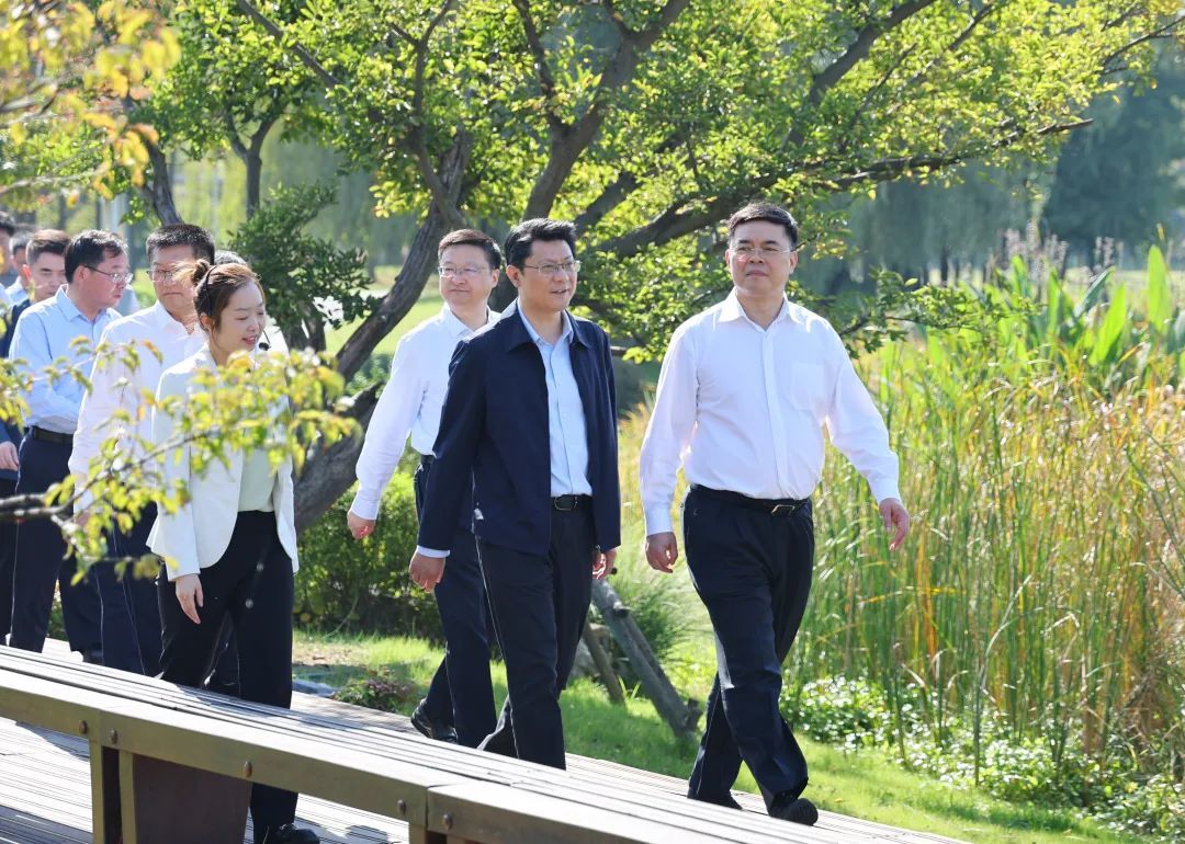 张忠在三湾湿地公园调研