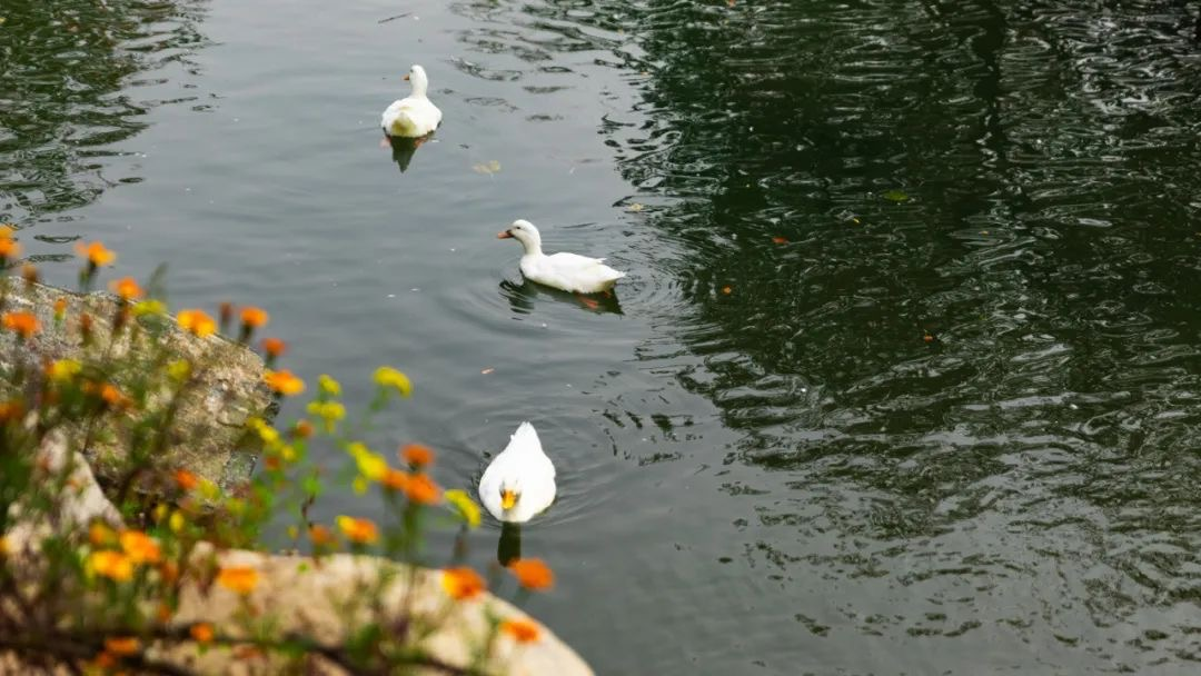 秋天到了,总得去趟乡宁云丘山吧