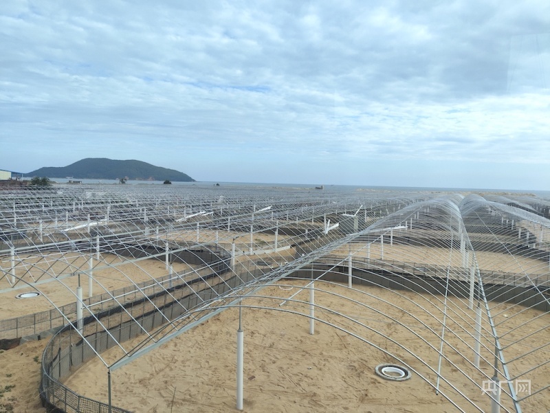 正在施工建设的育苗厂（央广网见习记者 晁海娟 摄）