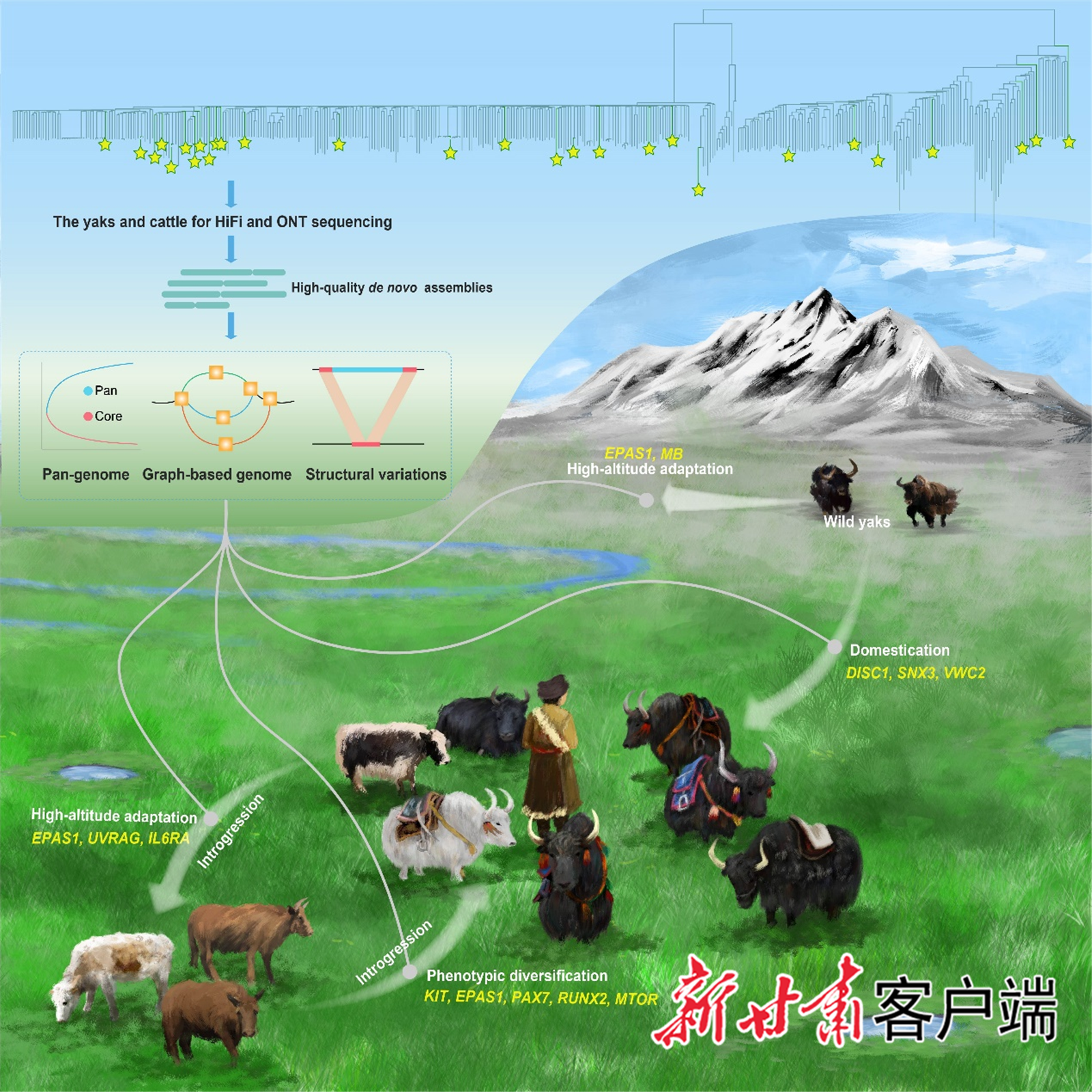 科研成果总结图