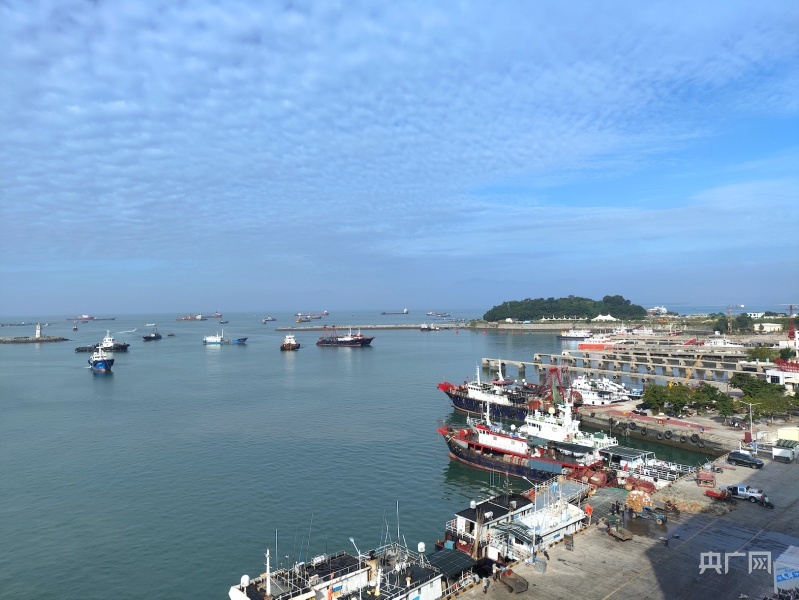 闸坡渔港（央广网见习记者 晁海娟 摄）