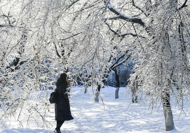 市民在长春市文化广场欣赏雪景。新华社记者 许畅 摄