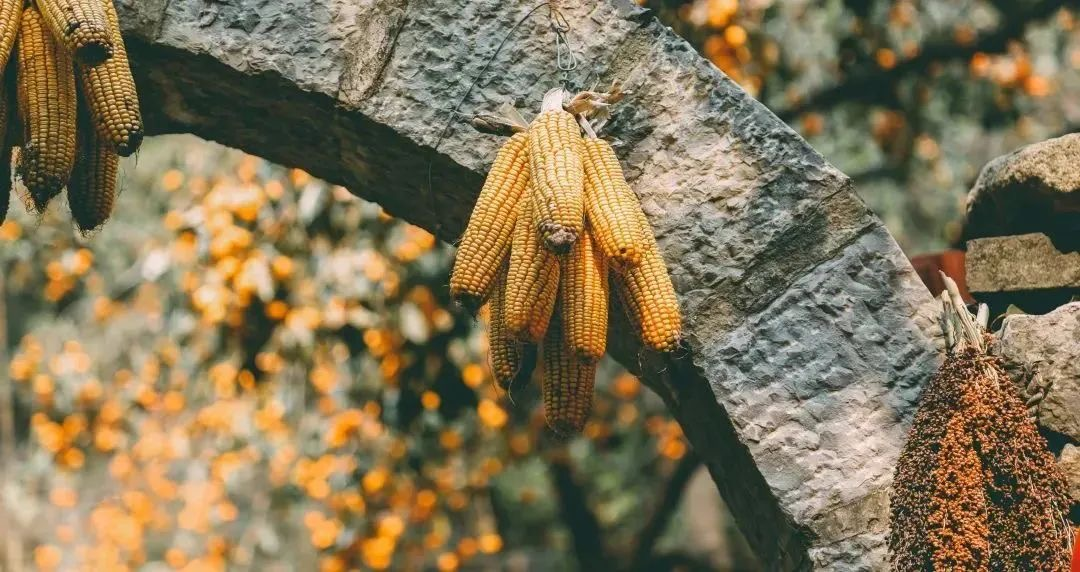 秋天到了,总得去趟乡宁云丘山吧