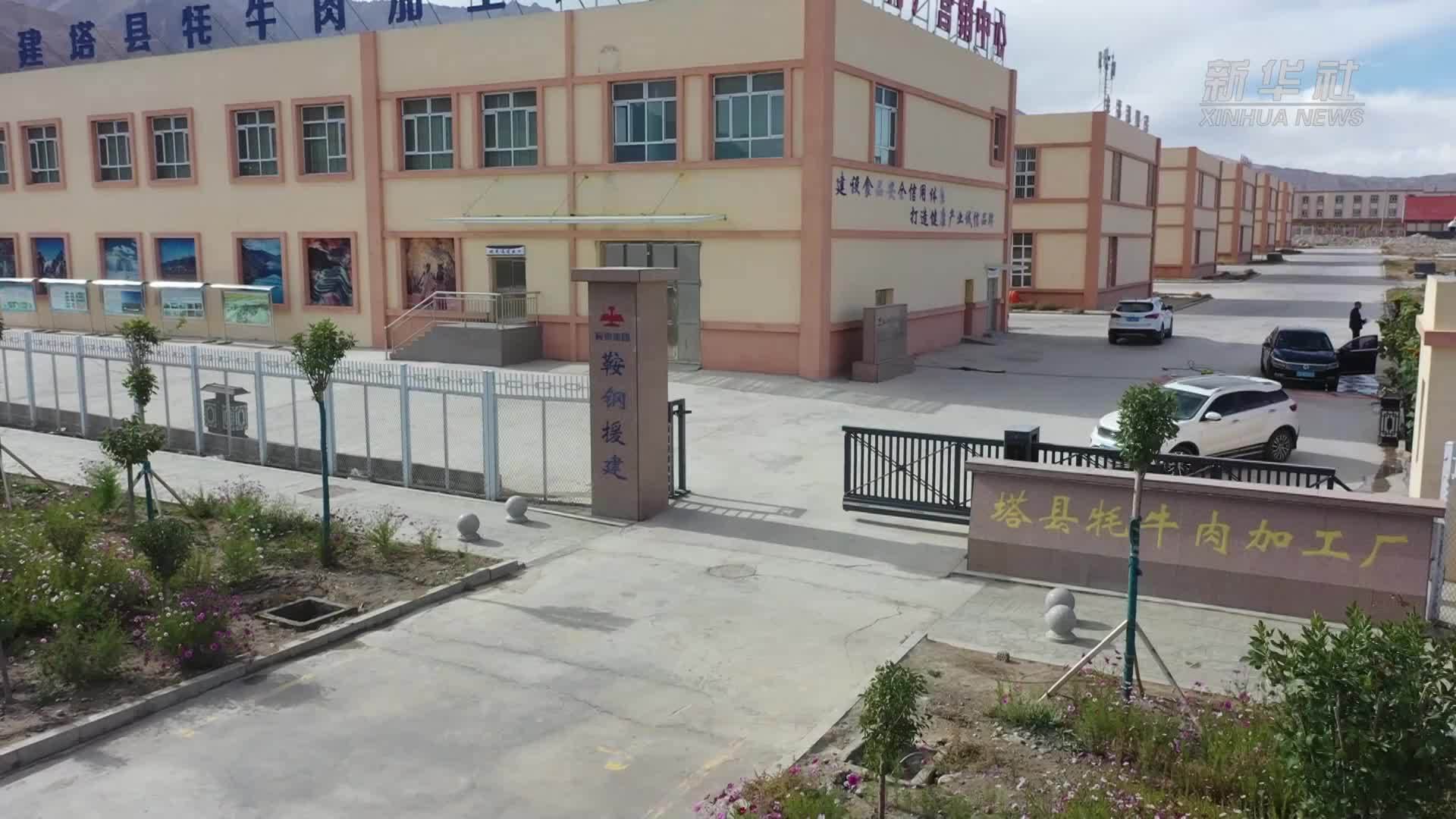 帕米尔高原兴起牦牛产业