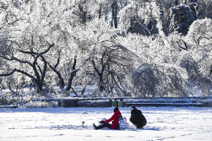 市民在长春市文化广场欣赏雪景。新华社记者 许畅 摄