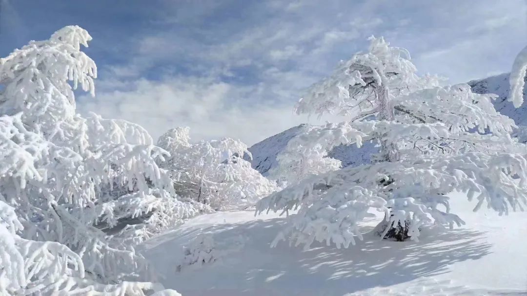 △哈萨克斯坦的雪景 图/小红书@毛栗子🌰