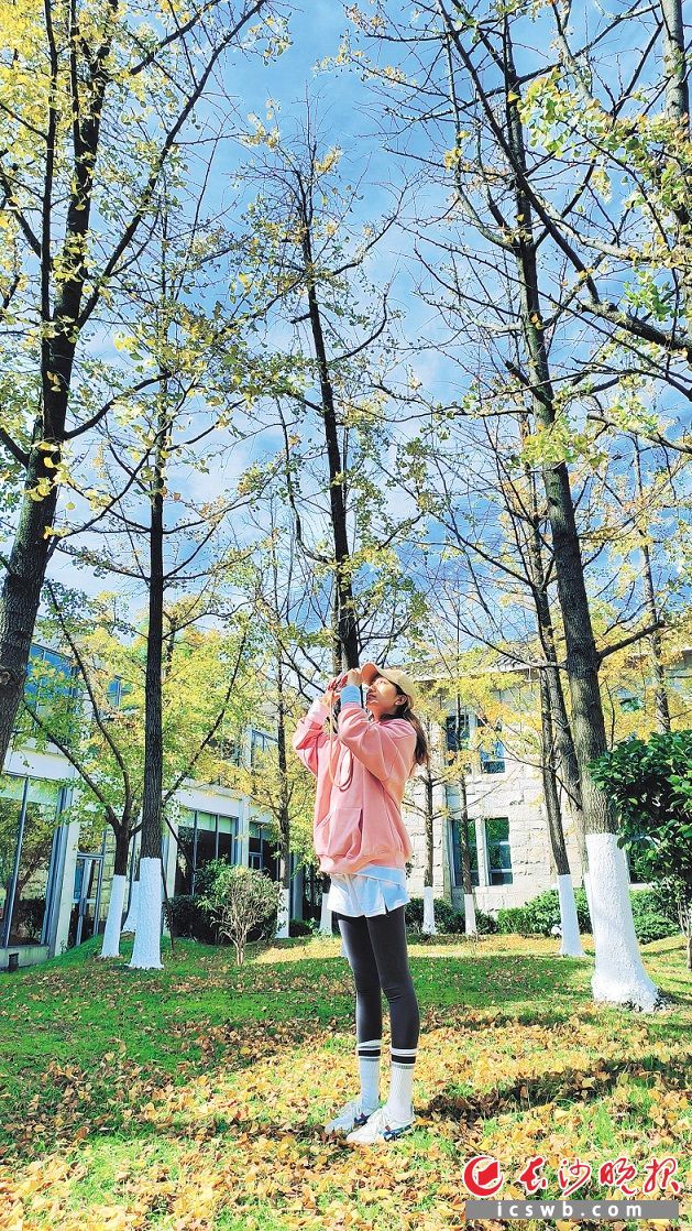 　　一位游客正在望城黑麋峰银杏树林拍照。　　长沙晚报全媒体记者 邹麟 摄