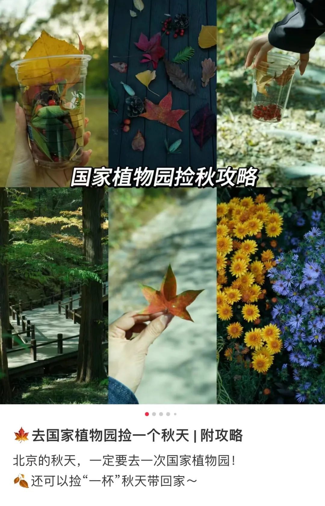 图源：@戴戴呀（重启人生版）