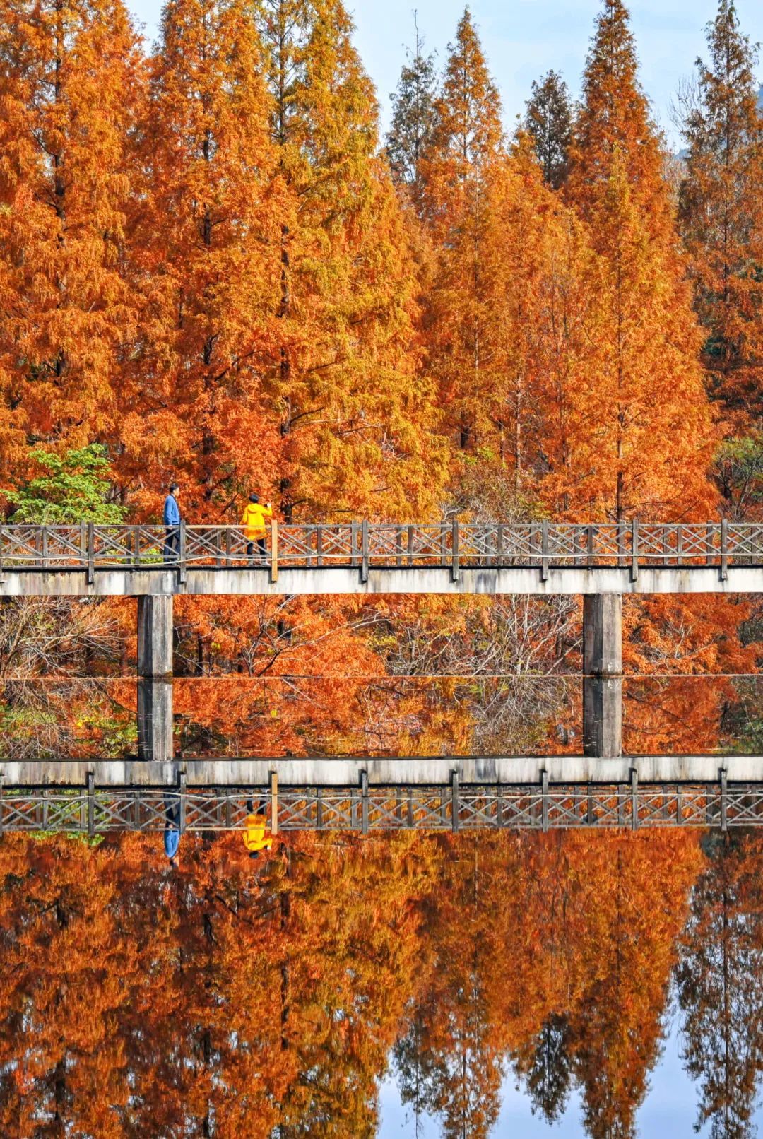 出发宁海这些地方最近超美