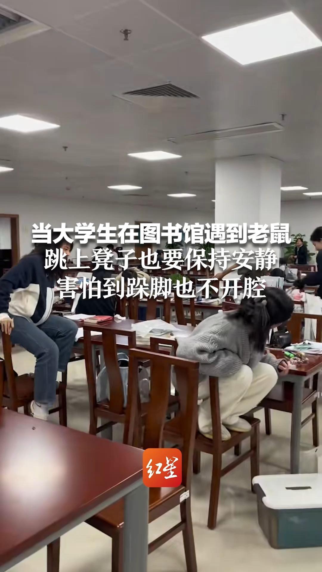 当大学生在图书馆遇到老鼠 跳上凳子也要保持安静 害怕到跺脚也不开腔