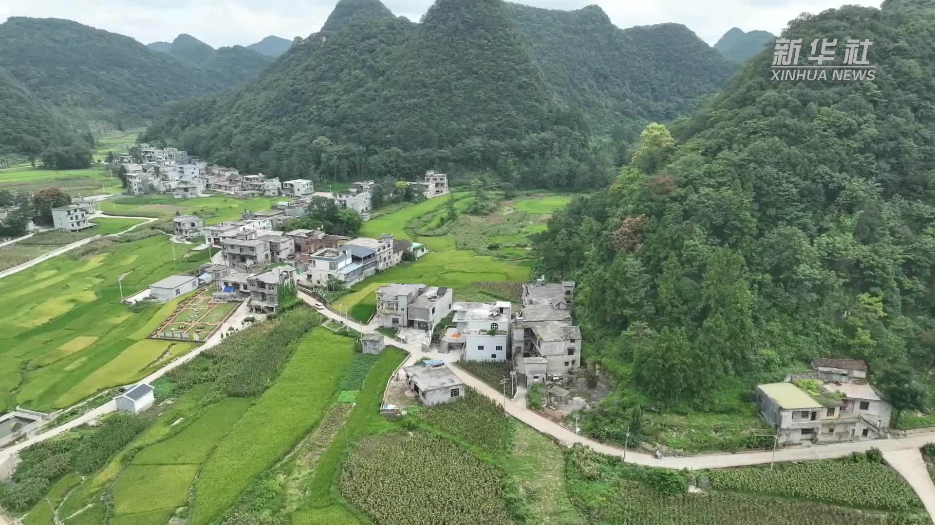 贵州册亨：创新发展模式 建设宜居宜业和美乡村