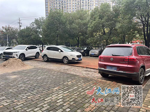 被毁坏后的绿化带