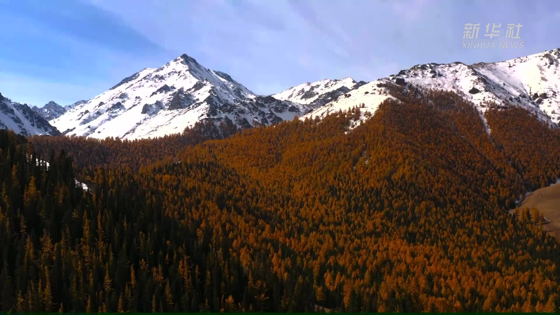 千城胜景｜云杉雪岭入画来