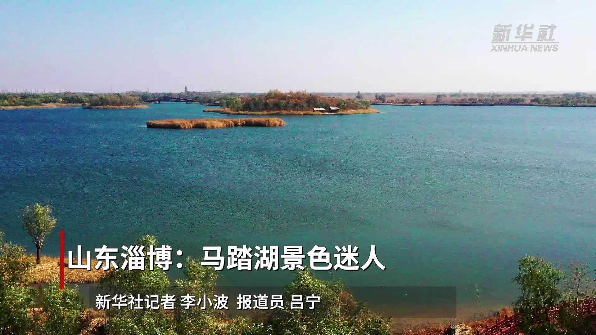 山东淄博：马踏湖景色迷人