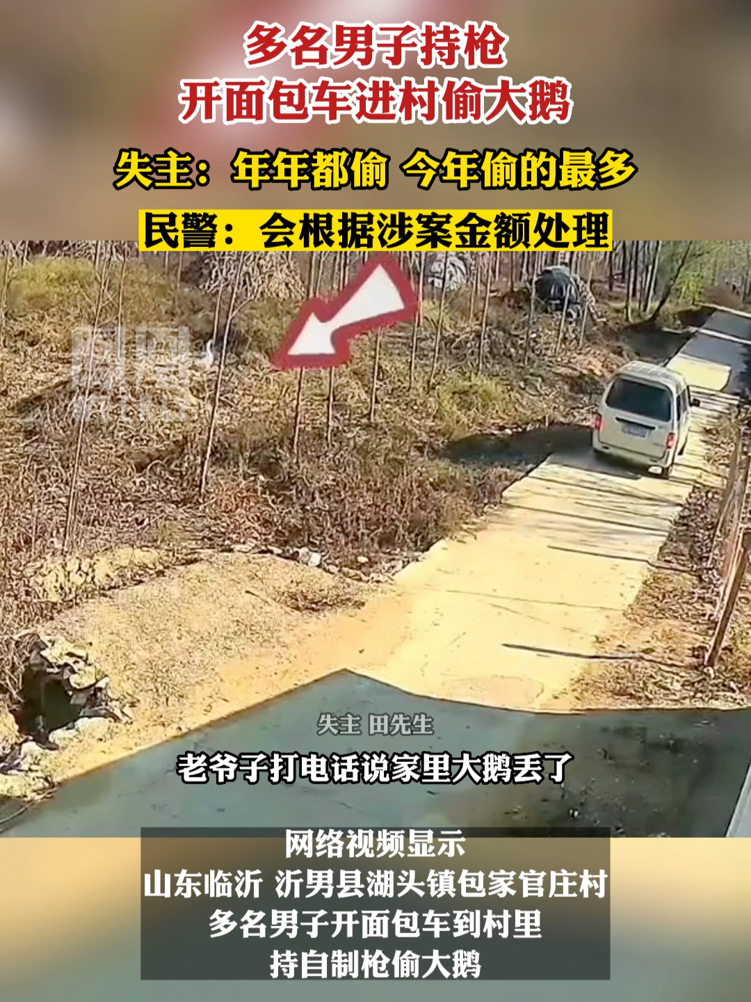 山东临沂一村庄，多名男子持枪开面包车进村偷大鹅。#热点知多少