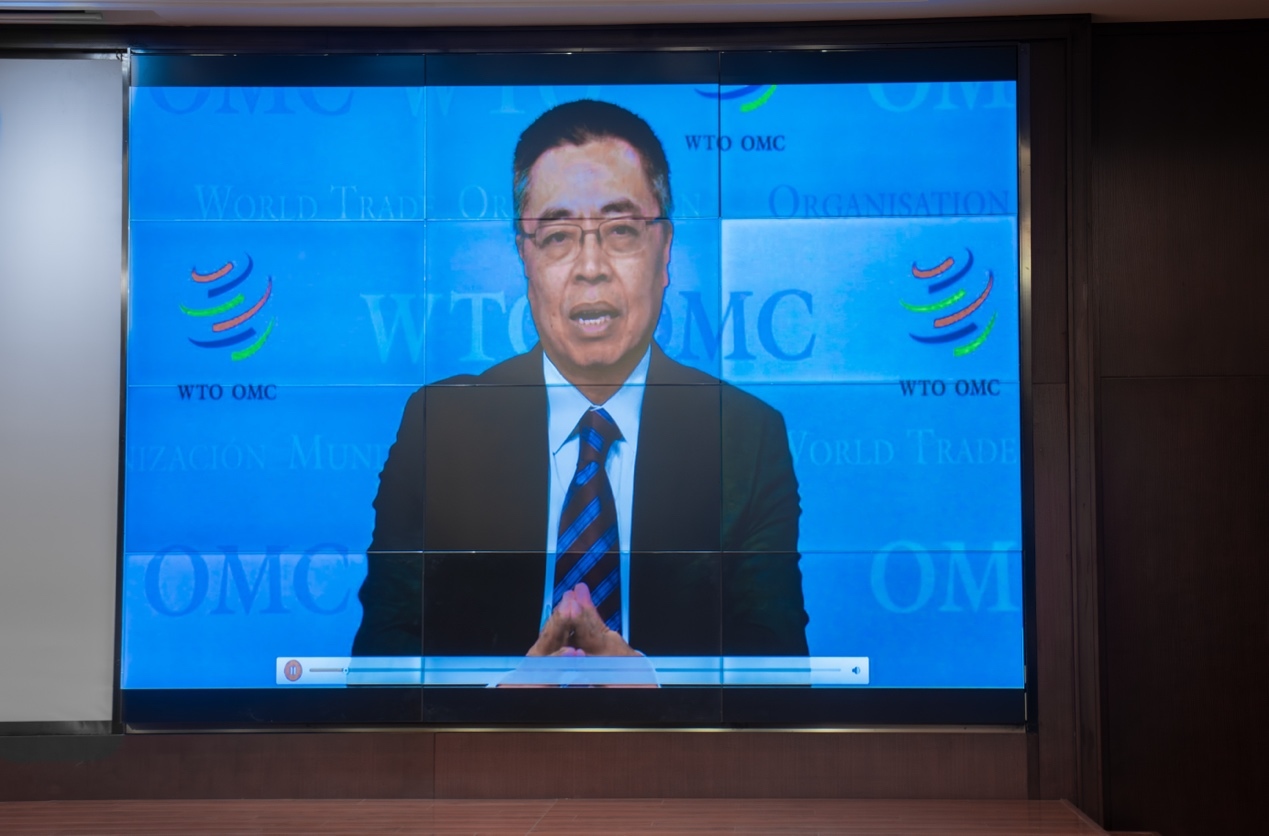 世界贸易组织副总干事张向晨先生图片