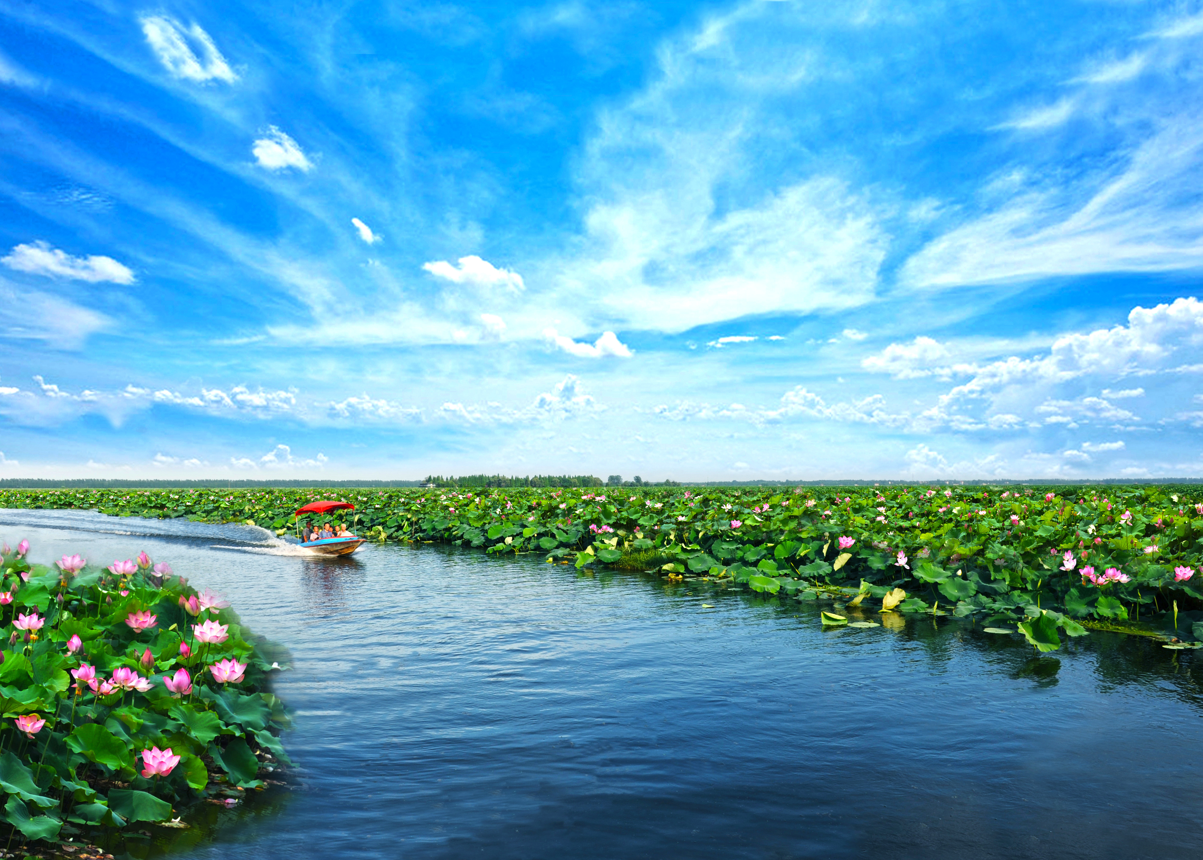 楚韵虾乡 奔跑潜江 潜江马拉松回来了！