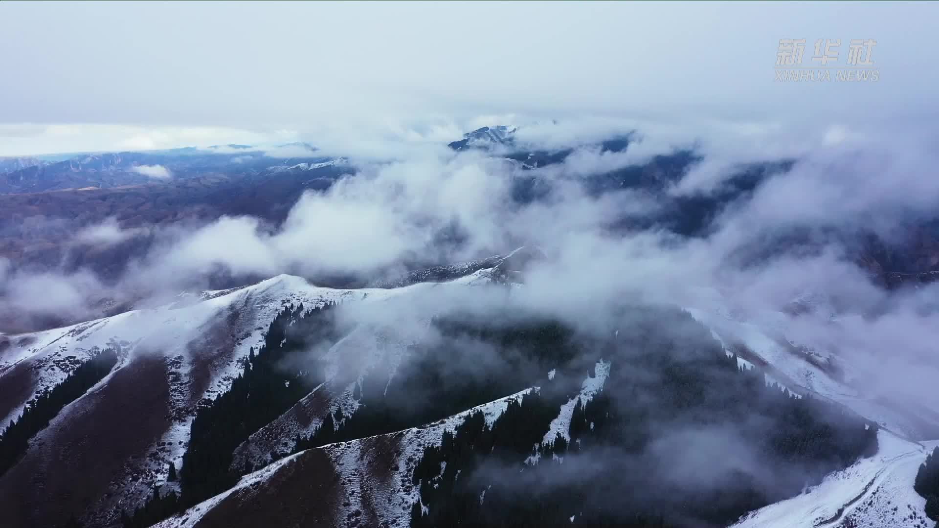 新疆天山：雪后美景 巍峨壮美