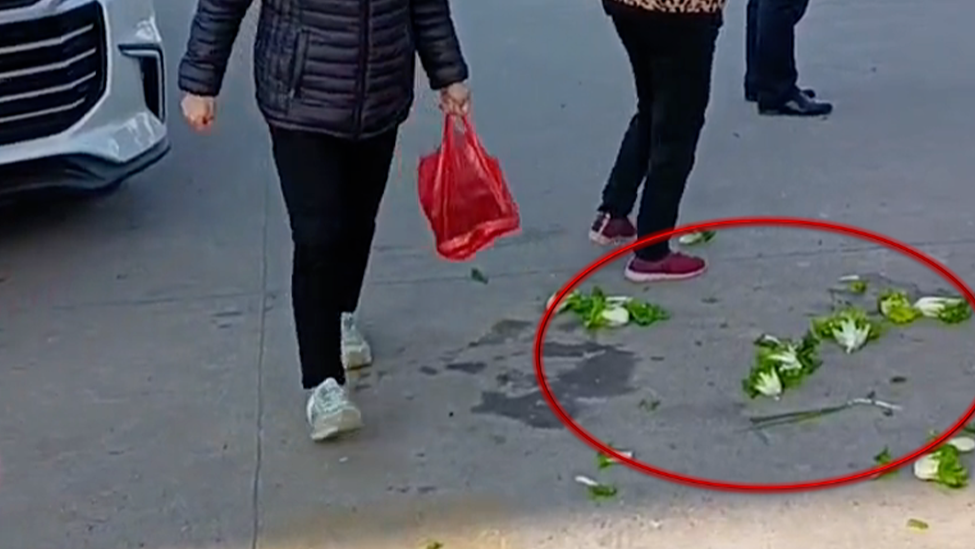 网友曝一城管将摆摊老奶奶菜篮子踢翻，自己下车拍摄，手机也被拍飞