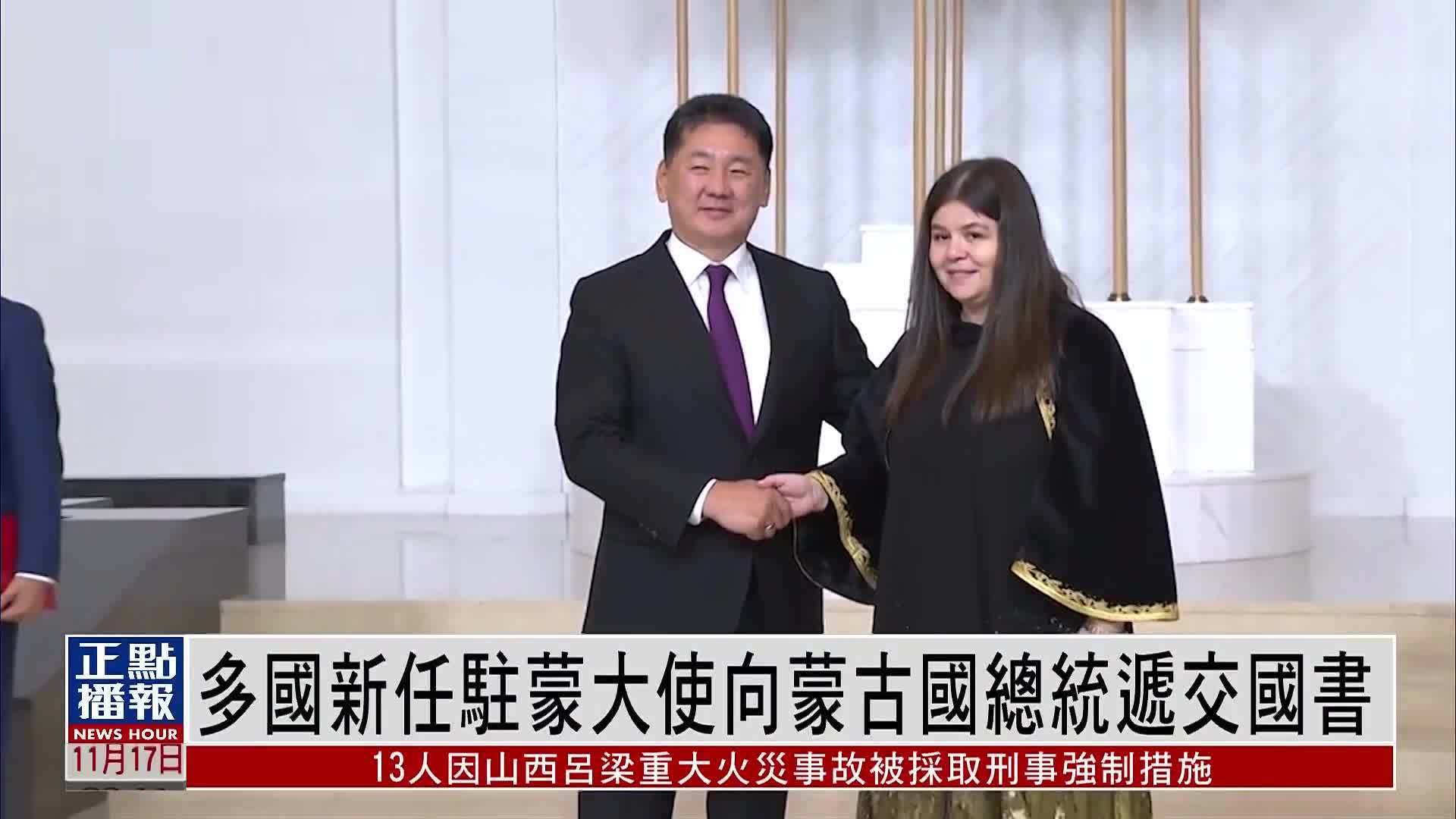 多国新任驻蒙大使向蒙古国总统递交国书