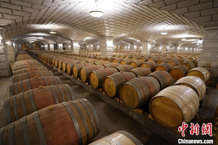 8月31日,甘肃省嘉峪关的一家葡萄酒企业的酒窖。(资料图) 毛建军 摄
