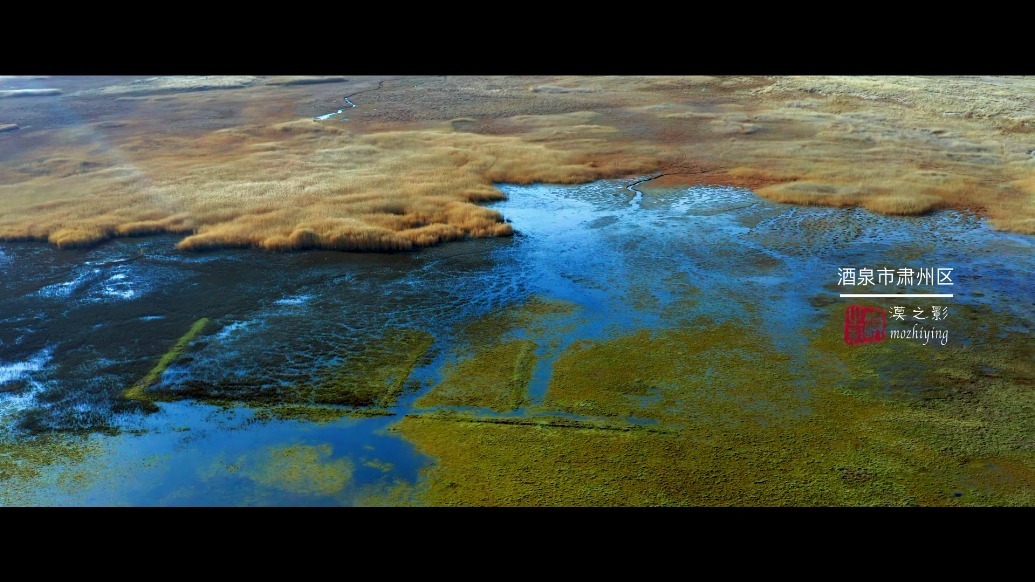 快来“瞰”！肃州湿地“冬日大片”上新