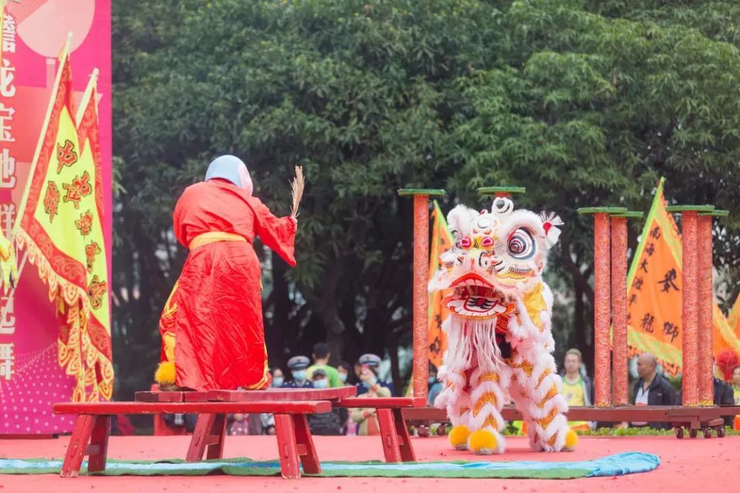 佛山日报记者 王伟楠摄