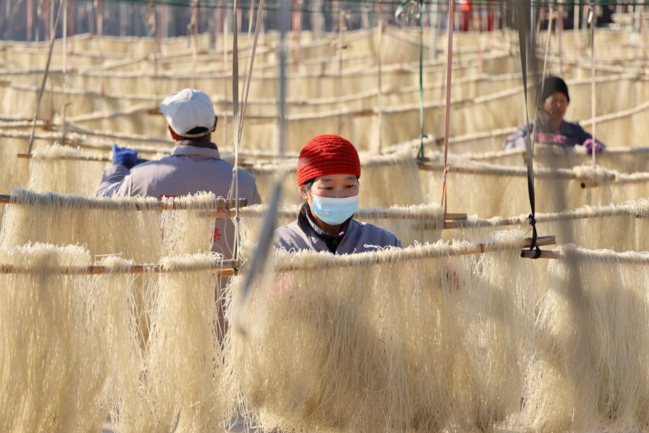 一挂一挂的粉条将村庄渲染得分外温暖与热闹。宋年升 摄