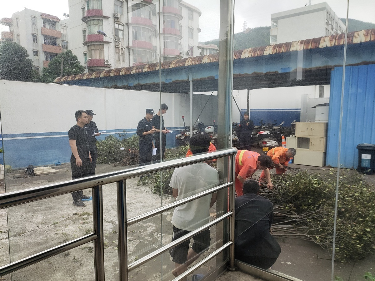 盗挖保护野生植物线上售卖 珠海公安侦破多宗盗伐林木案