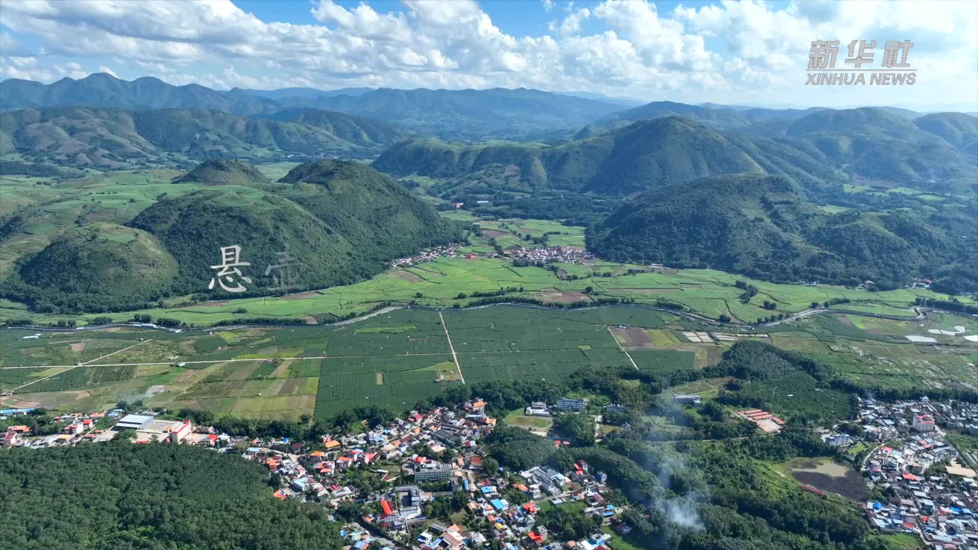 “国门医生”沈坤：悬壶三十载 仁心护健康