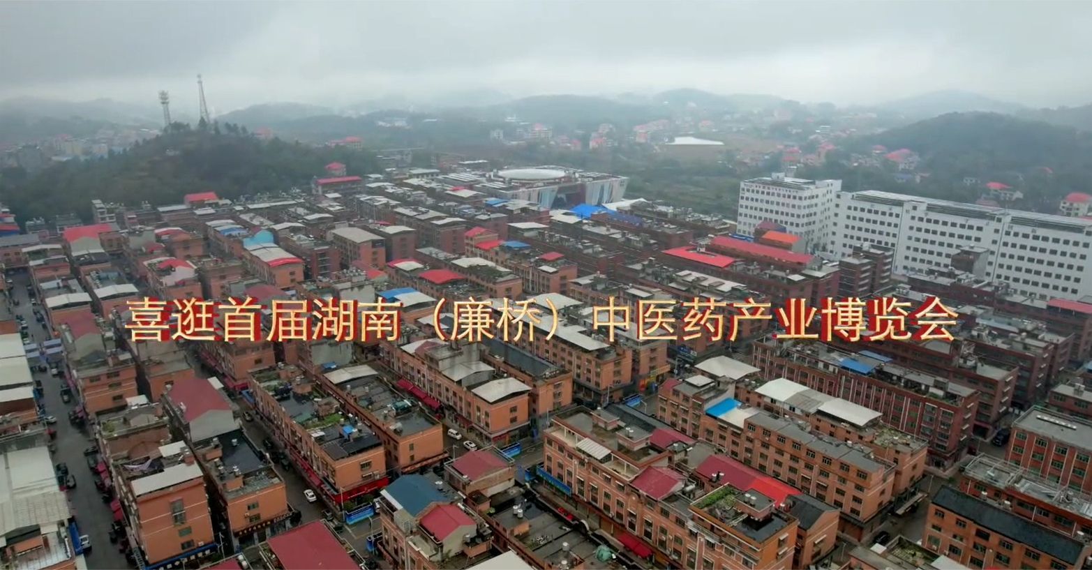人…从…众…！首届湖南（廉桥）中医药产业博览会，不看不行