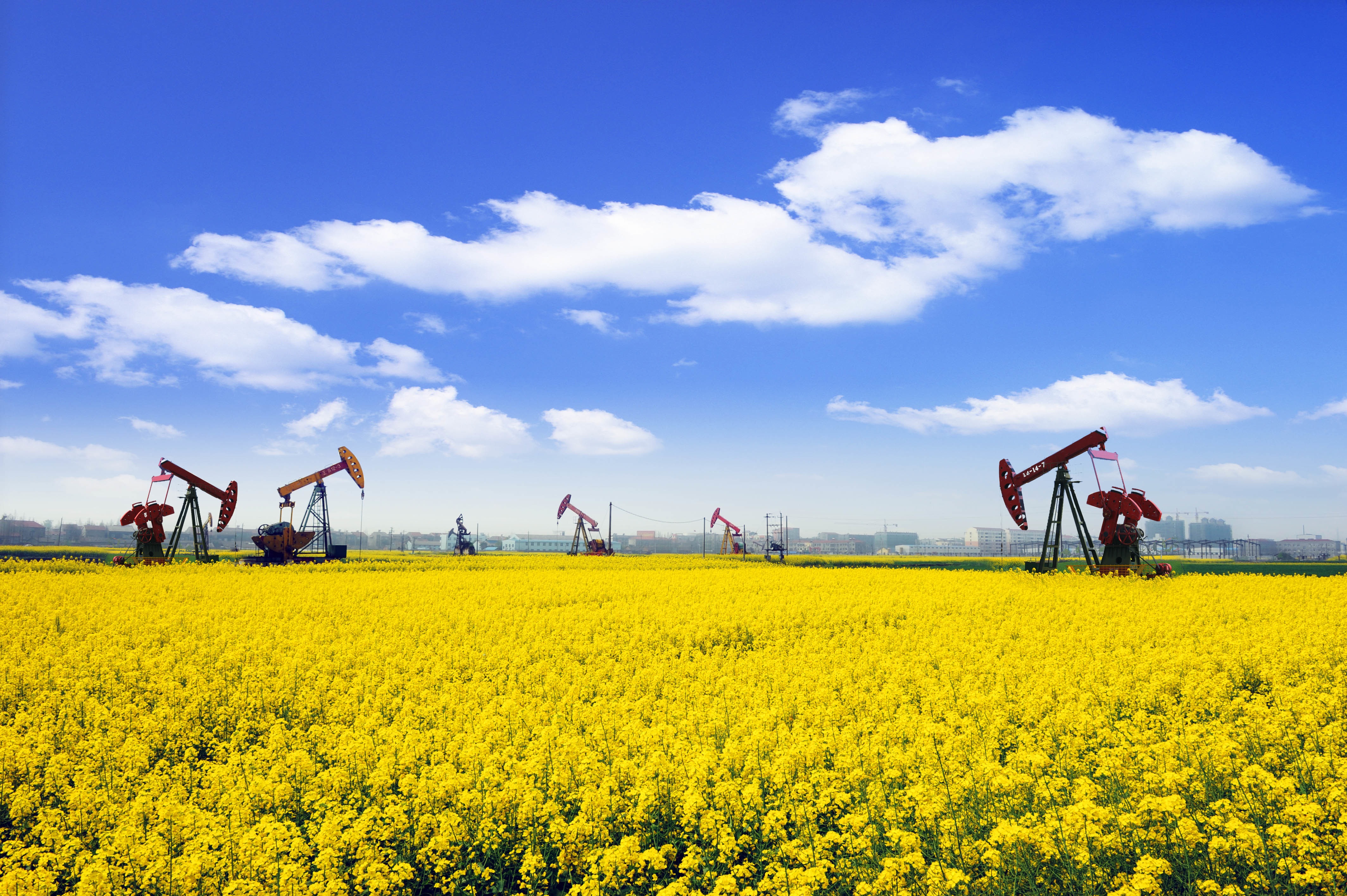 楚韵虾乡 奔跑潜江 潜江马拉松回来了！