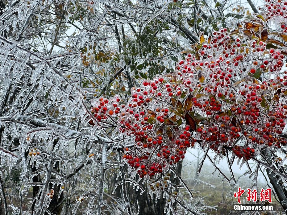 广西气温骤降 北部山区雪景五彩斑斓