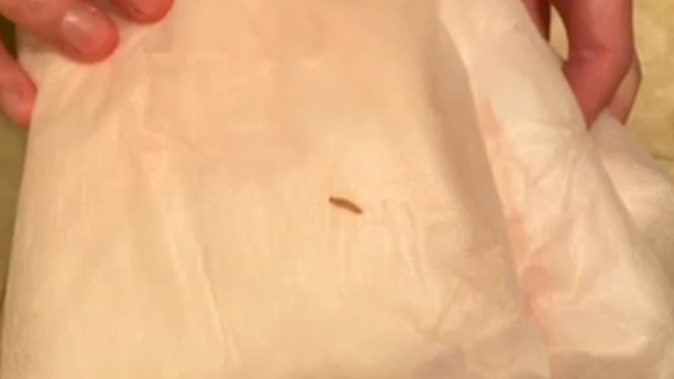 女子称在苏菲安睡裤发现有活虫，客服：生产不可能出现