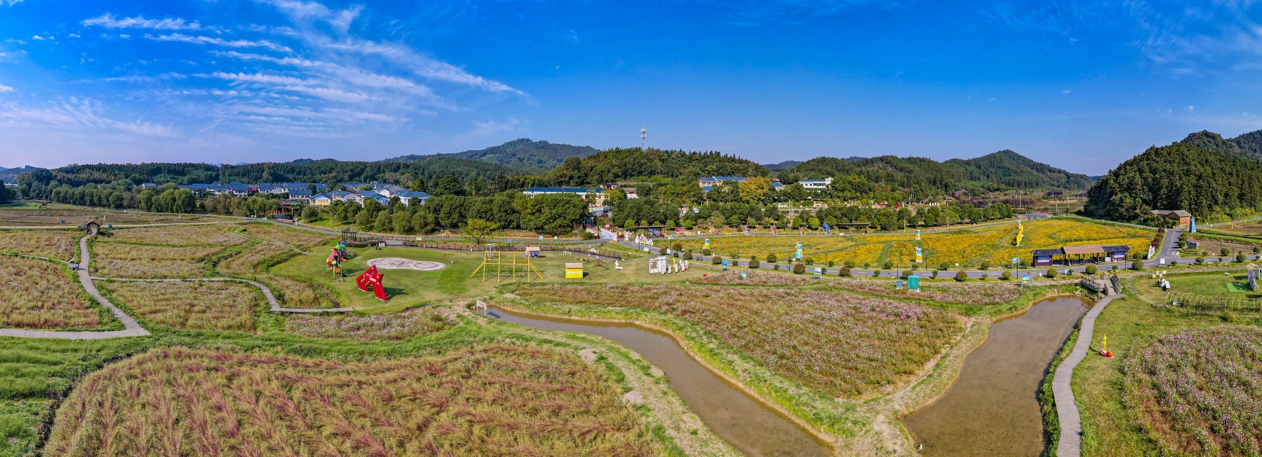 新余下保村花海门票图片