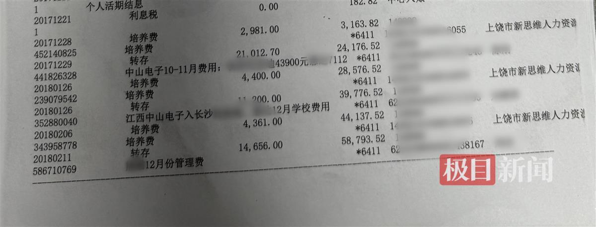 记者获取的一份银行流水（受访者供图）