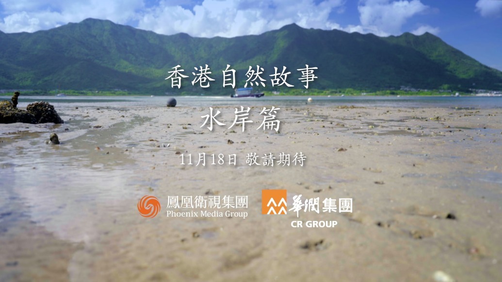 公益行动者全荃邀您观看《香港自然故事——水岸篇》_凤凰网视频_凤凰网