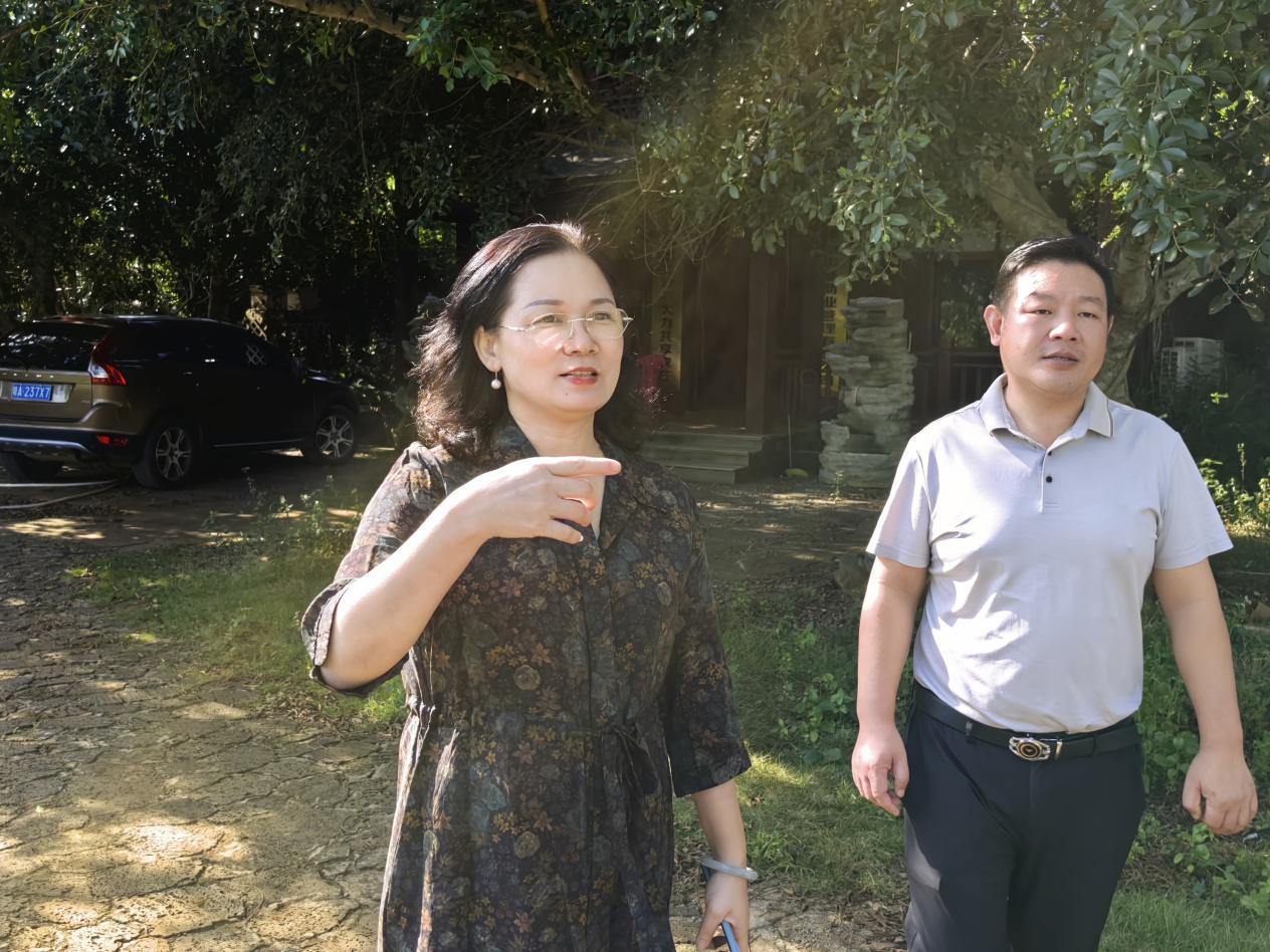 共谋牛大力产业发展新路径 海南石山神岭火山牛大力农业科技有限公司（原洪都商业）与凤凰网海南电商运营中心开展合作交流