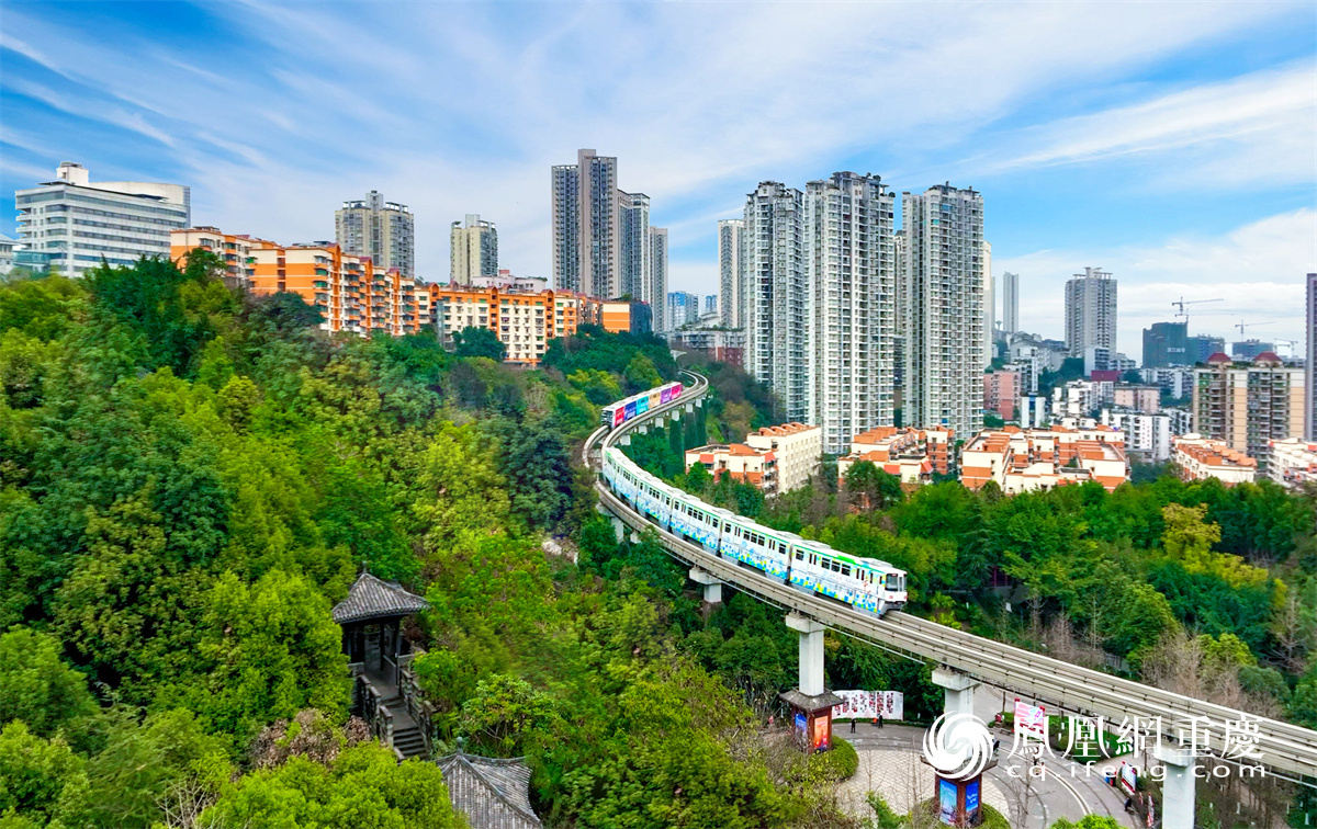 来往重庆轨道交通2号线平安站的列车