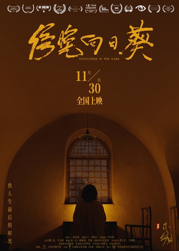 电影《傍晚向日葵》11月30日全国上映