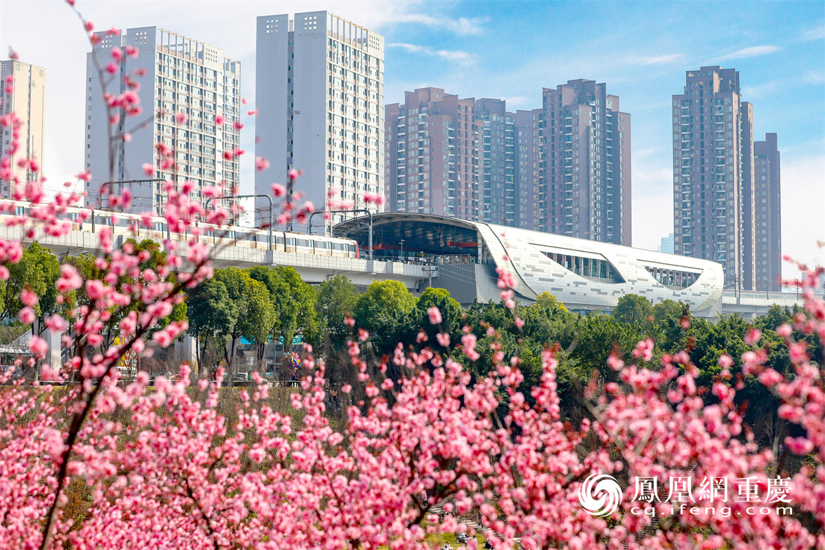 重庆轨道交通6号线康庄站全景