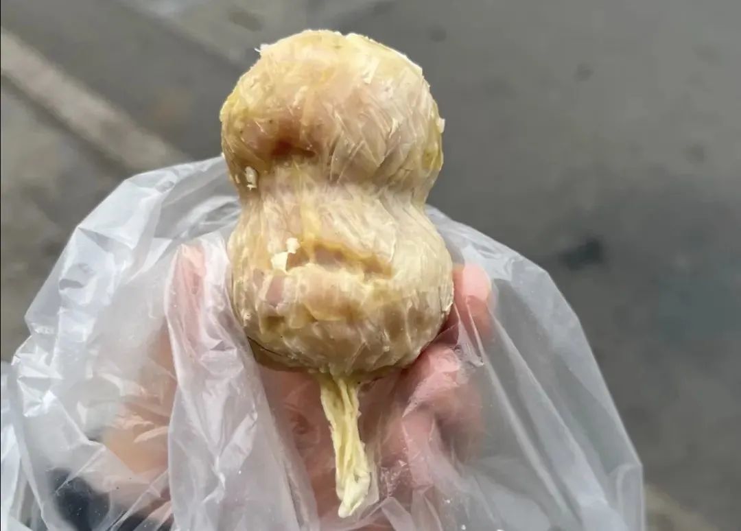 大众点评@甜酒鸭