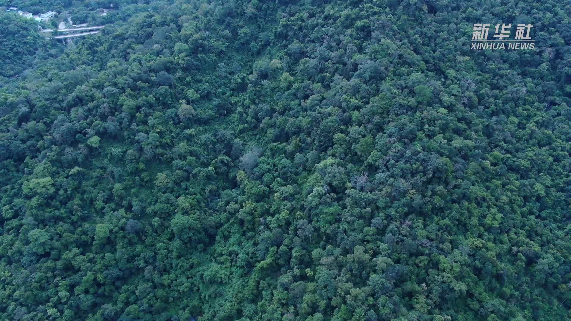 云南大象表演公益诉讼案一审宣判