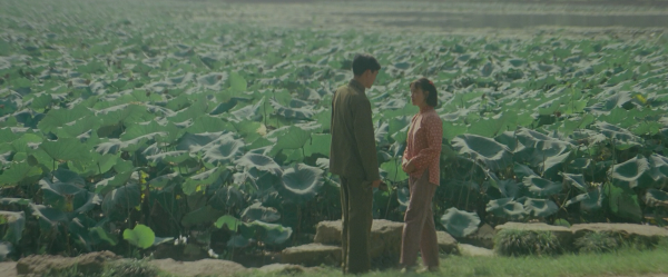 《芙蓉镇》截图