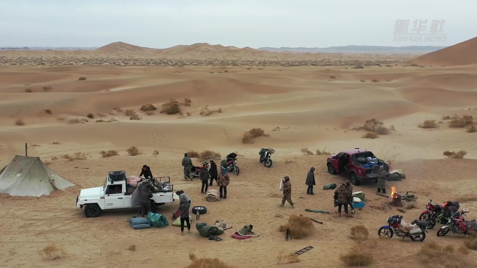 内蒙古阿拉善右旗：沙漠骆驼开启冬日转场迁徙之旅