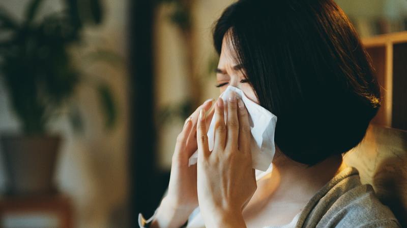 感冒鼻塞下领：您私然了解您的鼻子吗？