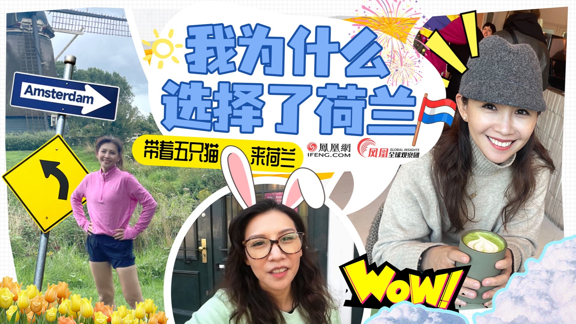 带着五只猫搬来荷兰三个月后：我觉得还是不要冲动！