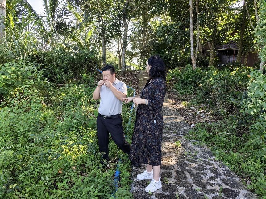 共谋牛大力产业发展新路径 海南石山神岭火山牛大力农业科技有限公司（原洪都商业）与凤凰网海南电商运营中心开展合作交流