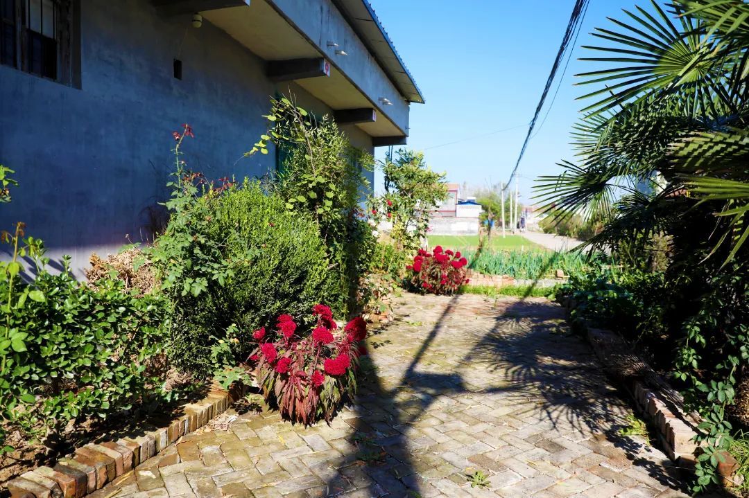 擦亮乡村振兴"美丽底色",丰县这个村有了大变化!凤凰网江苏_凤凰网