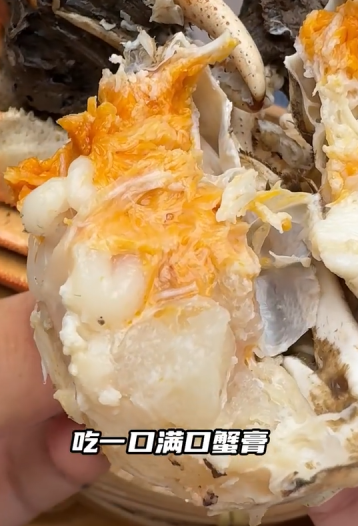 螃蟹排行_来自江苏的肯定!黄河口大闸蟹蝉联“中国十大名蟹”称号!(2)